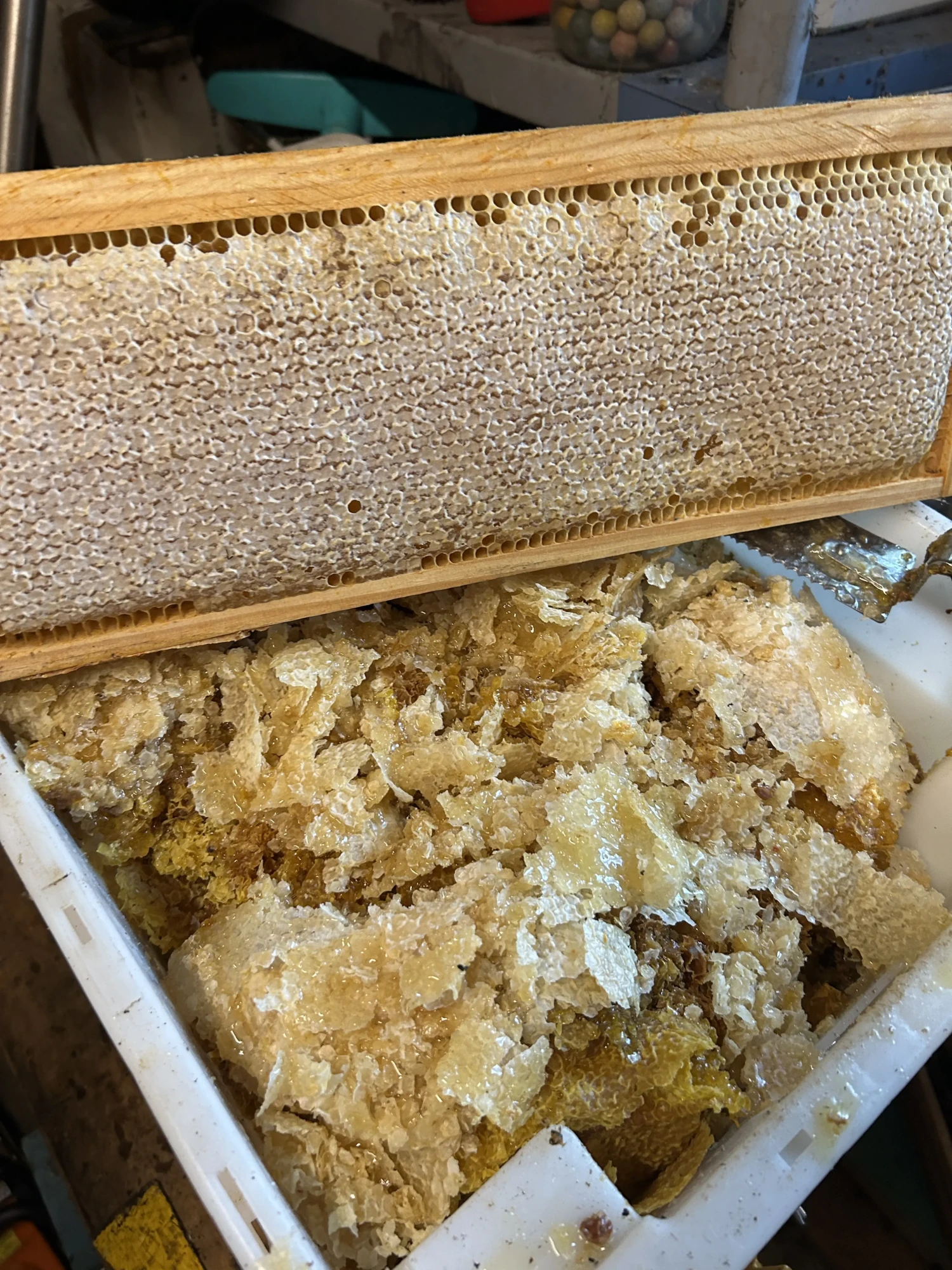 iziwax-apicole-atelier-filtration